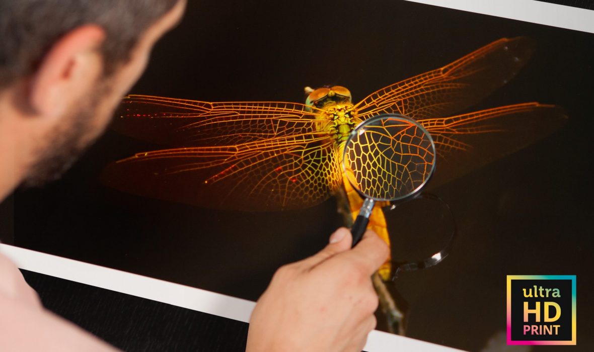 ultraHD-de_tail-3-logo (c) WhiteWall.com