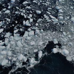 IMG20200303134756_01