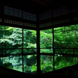 Kazuyuki Hagiwara-98A6695-1