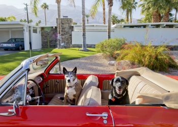 95f0a85c937eda34fc6d25b821b0b1748367b871_2200