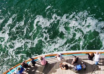 Concours photo proverbe 2018