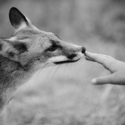 We-organized-a-global-photo-contest-to-celebrate-the-International-Day-of-Peace-and-here-are-the-best-50-entries-5f69ae317e315__880