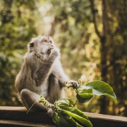 Lola-Asian-Aesthetic12