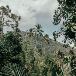 Lola-Asian-Aesthetic13