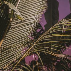 Lola-Asian-Aesthetic17