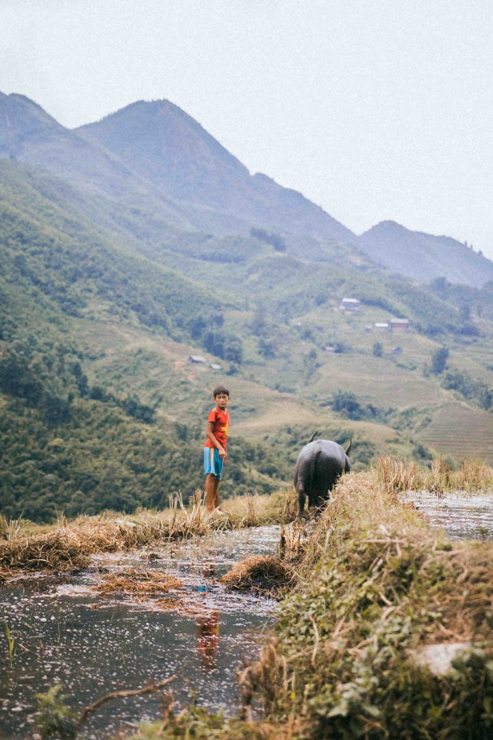 Lola-Asian-Aesthetic2