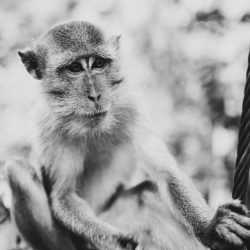 Lola-Asian-Aesthetic20