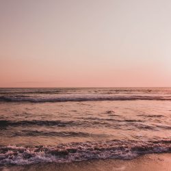 Lola-Asian-Aesthetic8