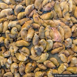 ocean-photography-awards-3