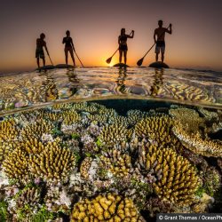 ocean-photography-awards-4