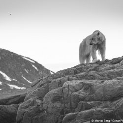 ocean-photography-awards-7