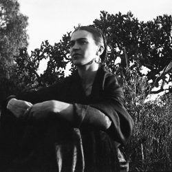 Frida_Kahlo_GaleriedelInstant_002