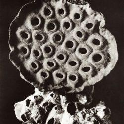 Galerie Arnaud Lefebvre ┬À Domingo DJURIC, Autoportrait, 1988 ┬® Domingo Djuric, courtesy Galerie Arnaud Lefebvre