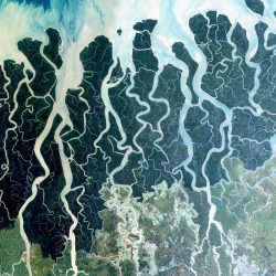 UNESCO-heritage-sites-overhead-Sundarbans