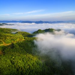 Zhang HongBing_10mm_ph1