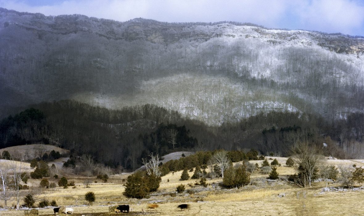 © Rachel Boillot (3)