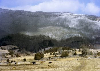 © Rachel Boillot (3)