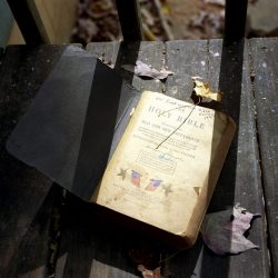 © Rachel Boillot (6)