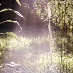 © Rachel Boillot (7)