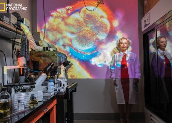 0c535c5991fe9c021e7614819e555e043625f63e_1620