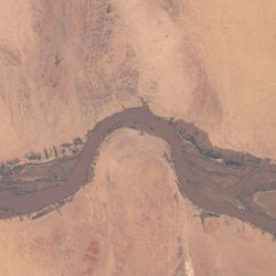 flooding-along-the-nile-in-sudan-nikon-d5-800mm-