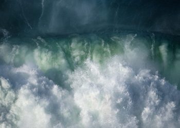 talibart-10-1536x1536