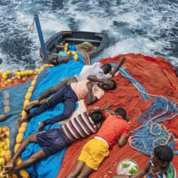 ©-Rohit-Iyer-Portrait-of-Humanity-2021-Single-Image-Winner-534x800