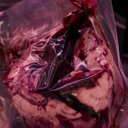 03_BundurakisElena_Heart