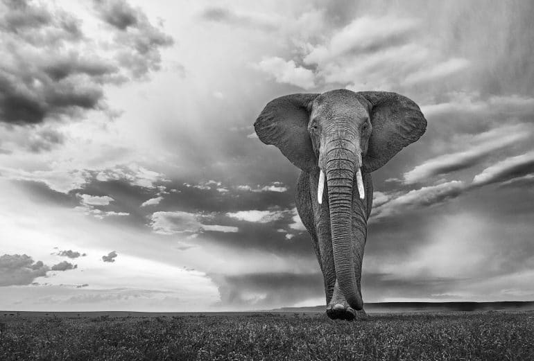 347_002_le-temps-suspendu_kaz3707