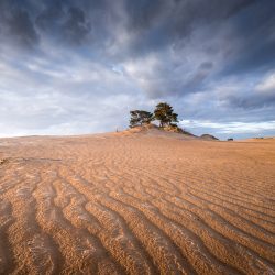 Albert-Dros-example2