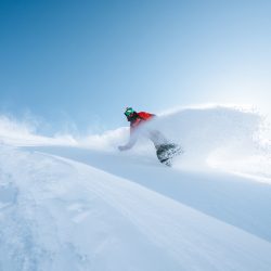 Carmen-Huter-example2