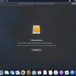 Data Recovery in progress_dark