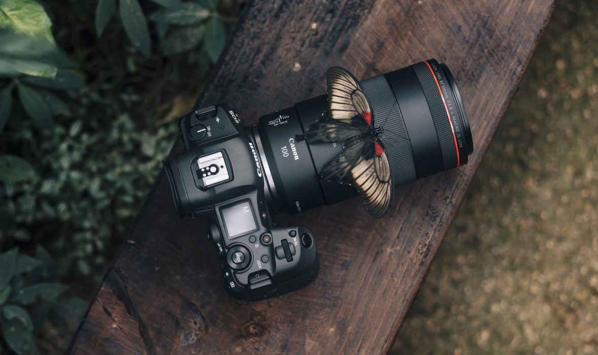 RF-100mm-F2.8L-MACRO-IS-USM_Ambient_13