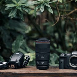 RF-100mm-F2.8L-MACRO-IS-USM_Ambient_24