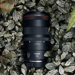 RF-100mm-F2.8L-MACRO-IS-USM_Ambient_3