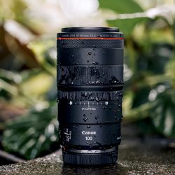 RF-100mm-F2.8L-MACRO-IS-USM_Ambient_9897