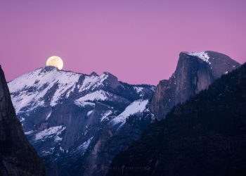 shainblum-1-1536x960