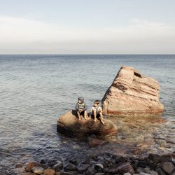 LES CHANTS DE L'ASPHODELE