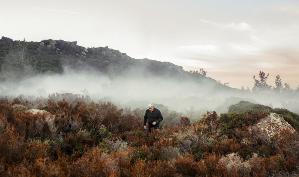 LES CHANTS DE L'ASPHODELE