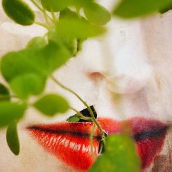 6 _ LES MARQUES © Elsa LEYDIER 1_2