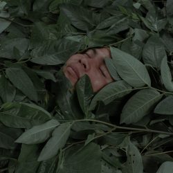 1f4e70ee-f571-755a-0c11-f01320768a60