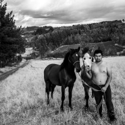 67422b82-0552-ede3-e874-2a0012d94039