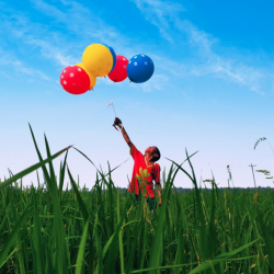 Capture d’écran 2021-07-05 à 16.15.36