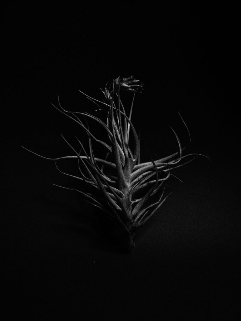 Coline-Jourdan_Prix-Phootgraphie-et-sciences-1200x1600