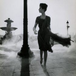 501168d1218874627ba3230a6f4312e1