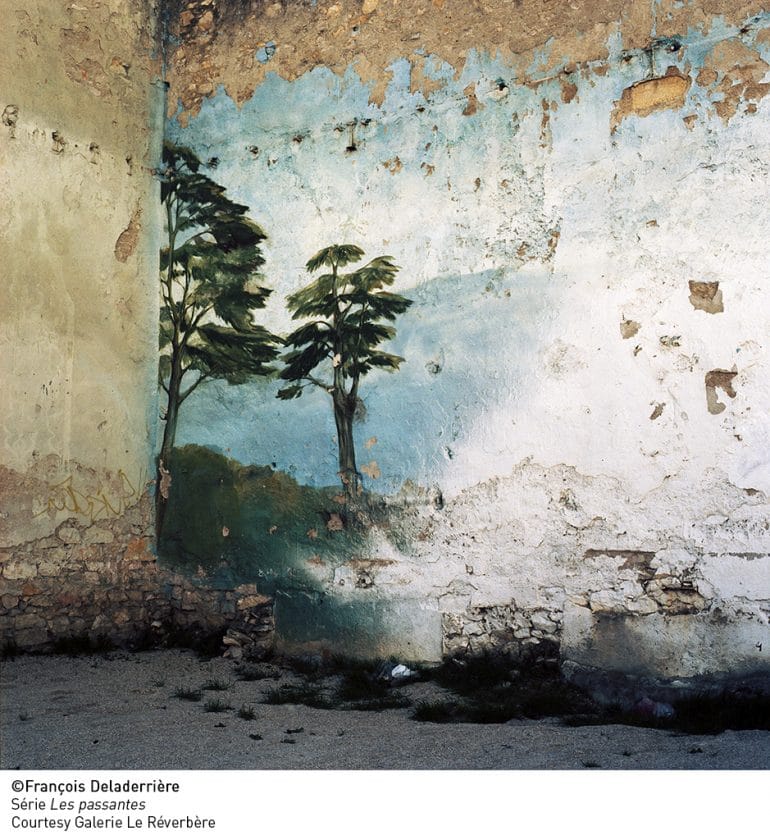 BD©Francois-Deladerriere