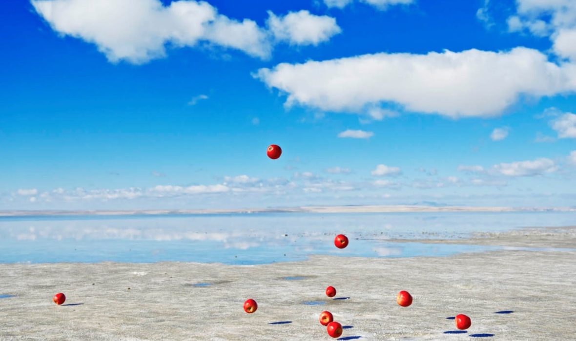 Christophe-Guye-Galerie-Jun-Ahn-Gravity-007