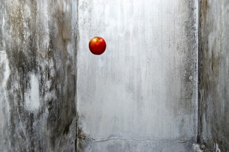 Christophe-Guye-Galerie-Jun-Ahn-One-Life-2015-001