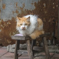 DSC04035-2-Edit-Edit