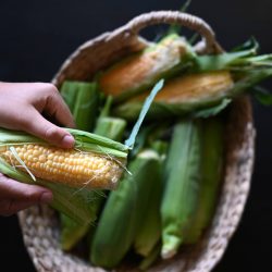 Image capturée avec le Nikon Nikkor Z 40 mm f/2